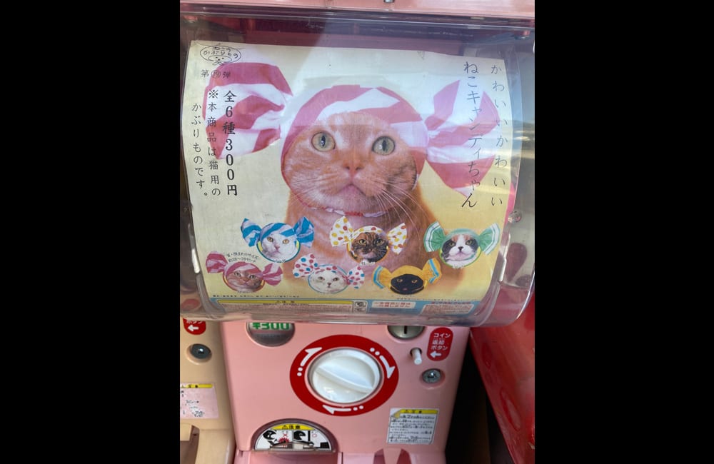 Cat Capsule Vending Machines ©Japan Travel Photos / Shutterstock.com