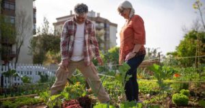 Leia mais sobre o artigo Sustentabilidade: desafios e benefícios das hortas urbanas e periurbanas