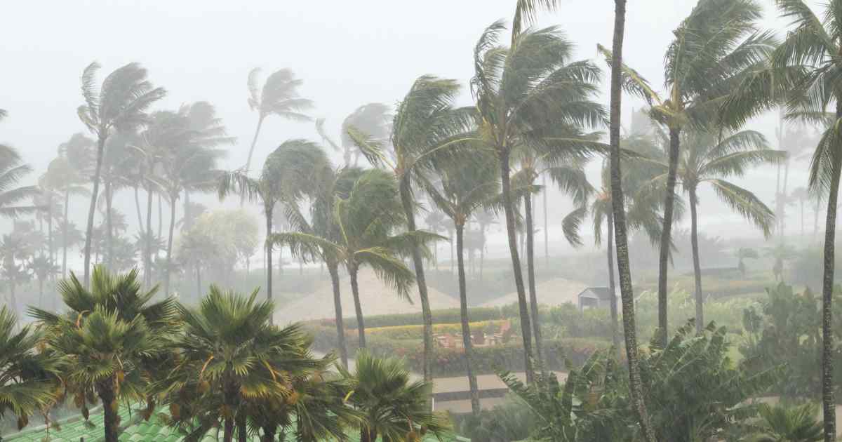 Leia mais sobre o artigo Letras de Risco de Seguros impulsionam a prevenção de danos climáticos