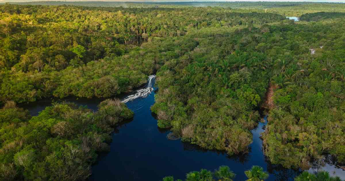 Leia mais sobre o artigo Nova pesquisa sobre a Amazônia alerta sobre a qualidade do ar