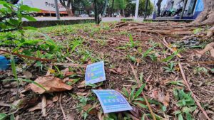 eleições e meio ambiente problemática da panfletagem e seus impactos