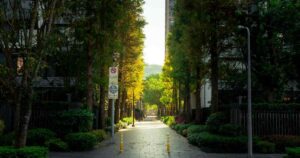 Leia mais sobre o artigo Corredores verdes transformam caminho ao trabalho em experiência zen (e esfriam a cidade)